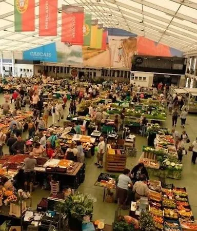 Apartament Lux 521 Letter *