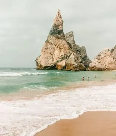 아파트 Lux 521 Letter *